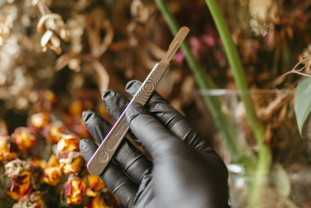 Express Dermaplane — The Skin Sanctum Denver